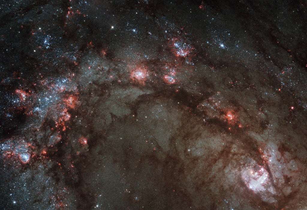 Star Birth in Galaxy M83