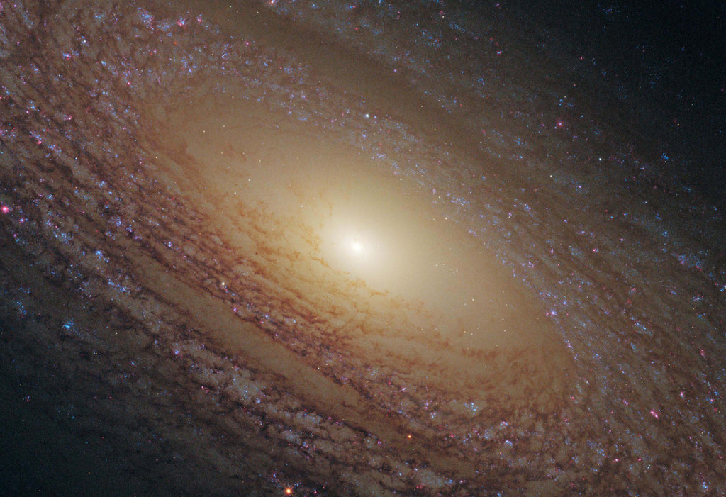 Galaxy in Ursa Major NGC 2841 Hi Gloss Space Poster