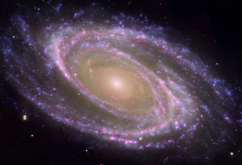 Hubble-Spitzer M81 Fine Art Print