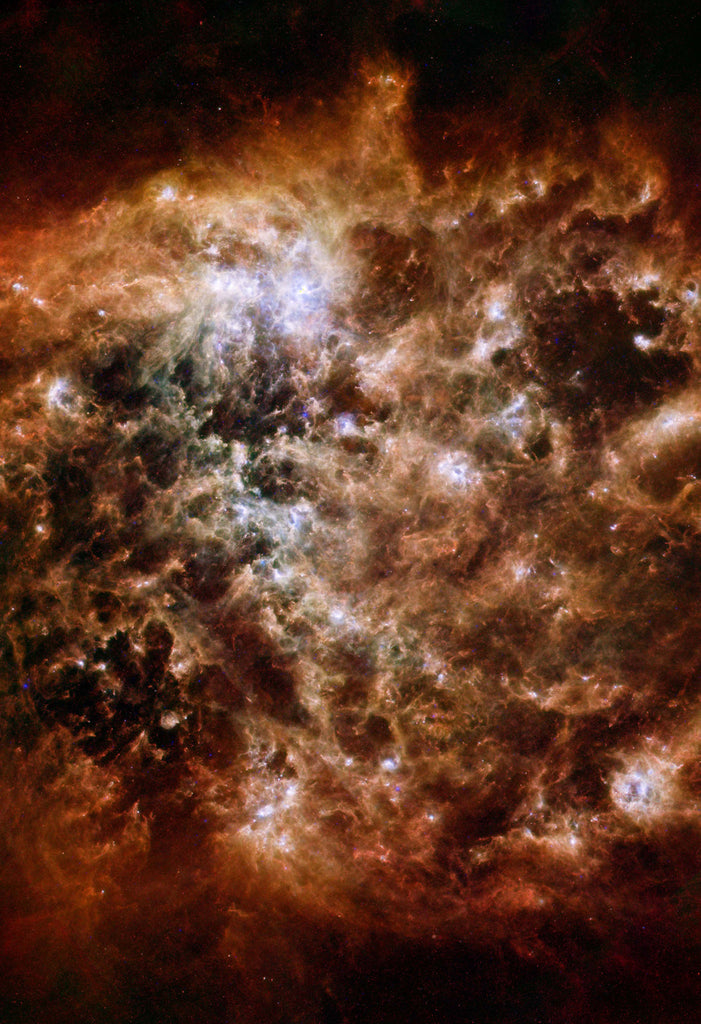 NASA Large Magellanic Cloud Space Hi Gloss Poster