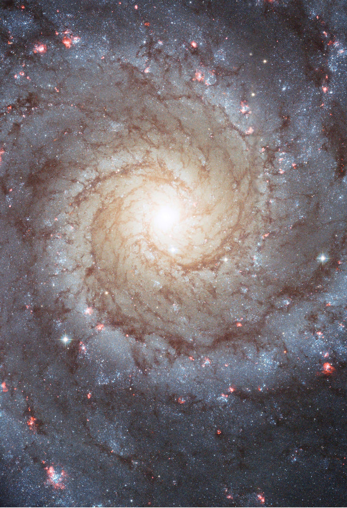 Space Poster of the M74 Galaxy