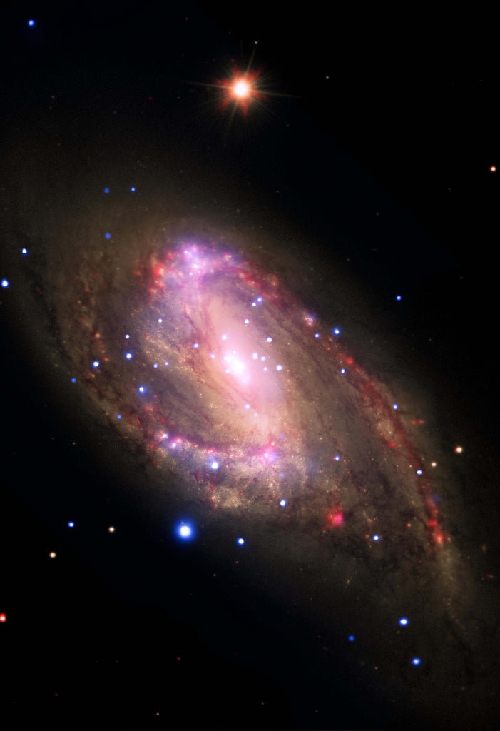 Space Poster of NGC 3627 