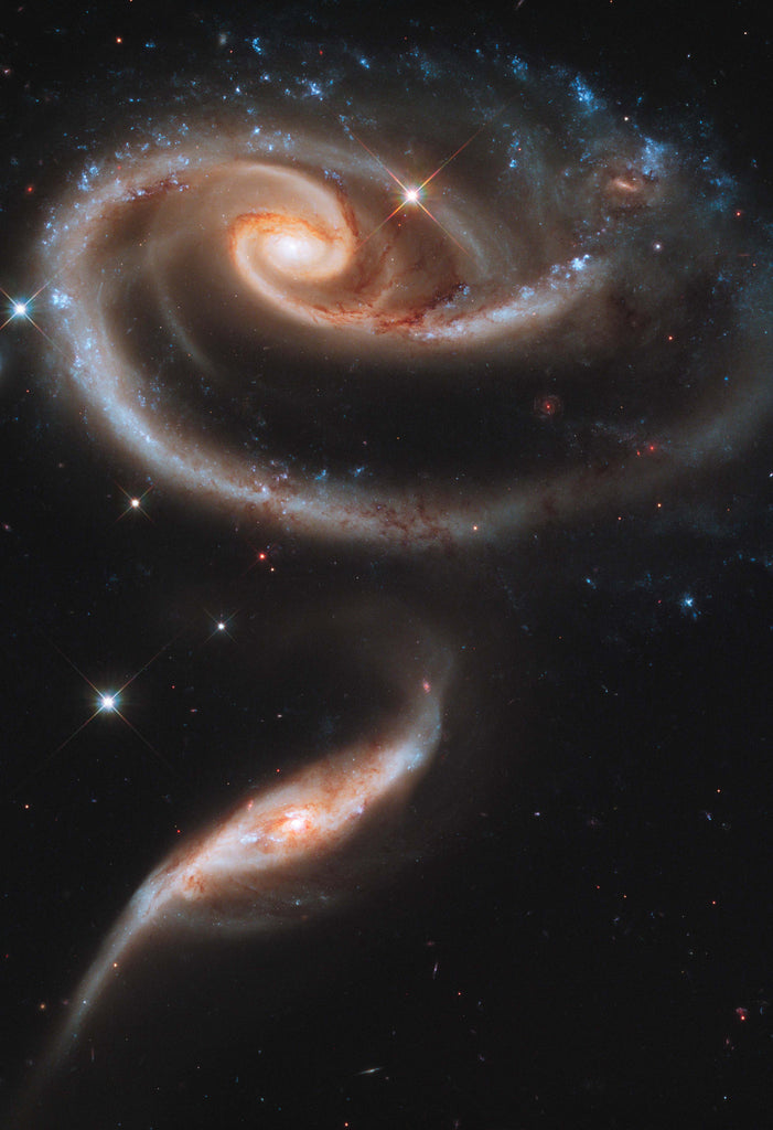 Space Poster of a Rose Made of Galaxies