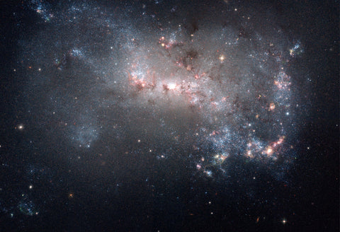 Stellar Fireworks are Ablaze in Galaxy NGC 4449 Fine Art Print