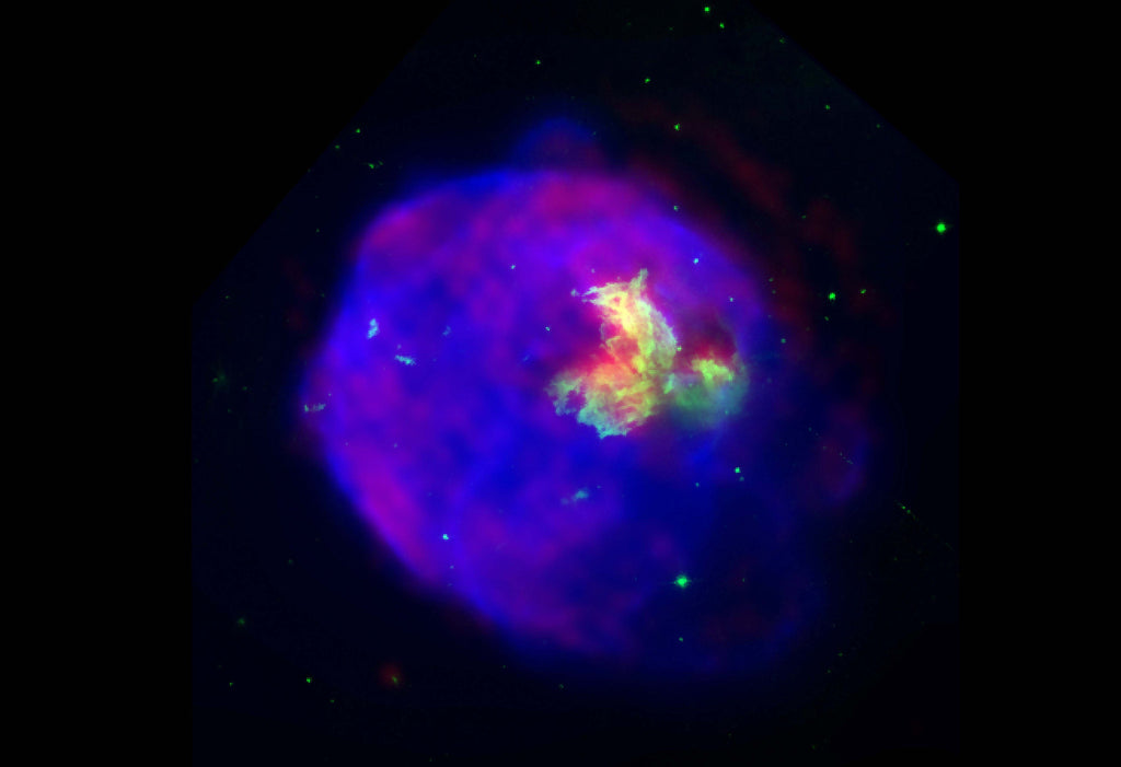 Supernova Menagerie 