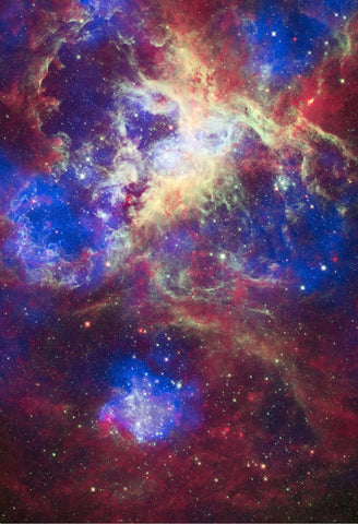 Space Poster of the Tarantula Nebula Fine Art Print