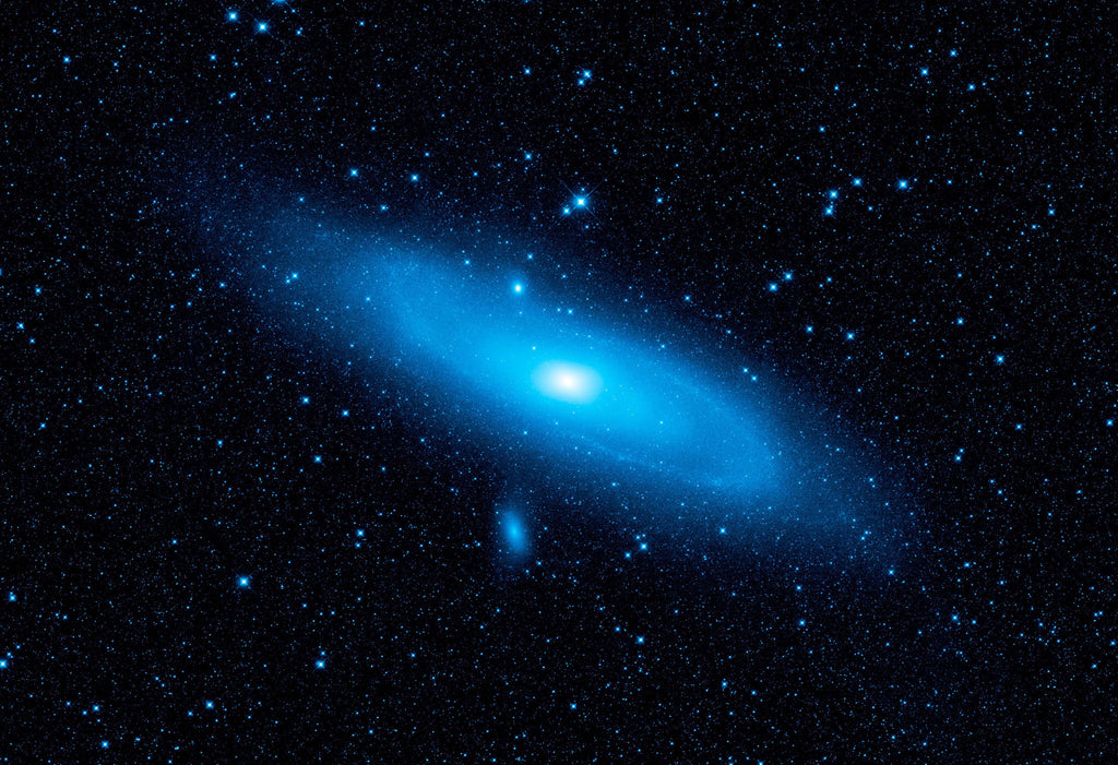 Warped Andromeda by WISE
